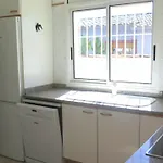 فيلة Refpal60- *