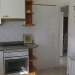 Refpal60-
